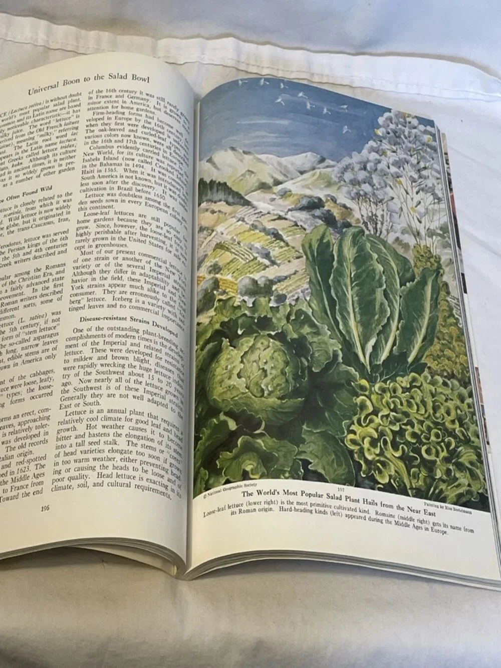 National Geographic August 1949 Our Vegetable Travelers Vintage Magazine